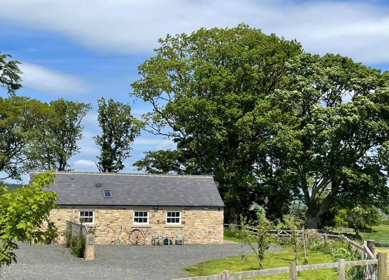 Stay On The Hill - Self Catered Cottages Laverick And Bothy 헥삼 외부 사진